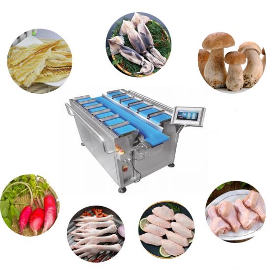 Semi-Automatic Belt Combination Weigher